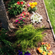 Illustration for article titled Pictures of Flowers (for Mothers Day)